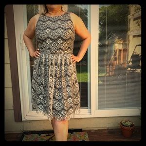 Eliza J Lace cocktail gray dress